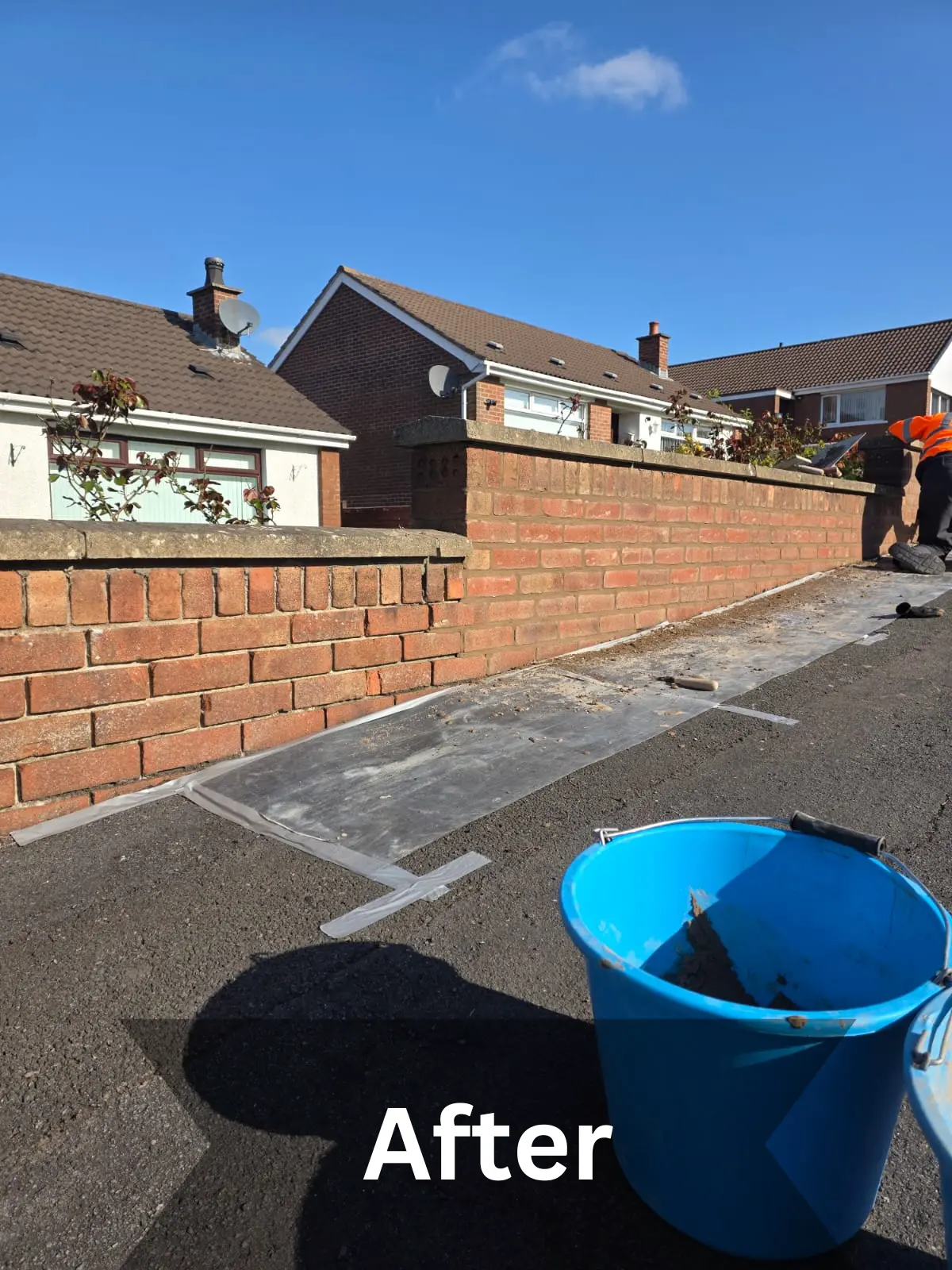 Repointed an old Garden Wall at Larne, Northern Ireland